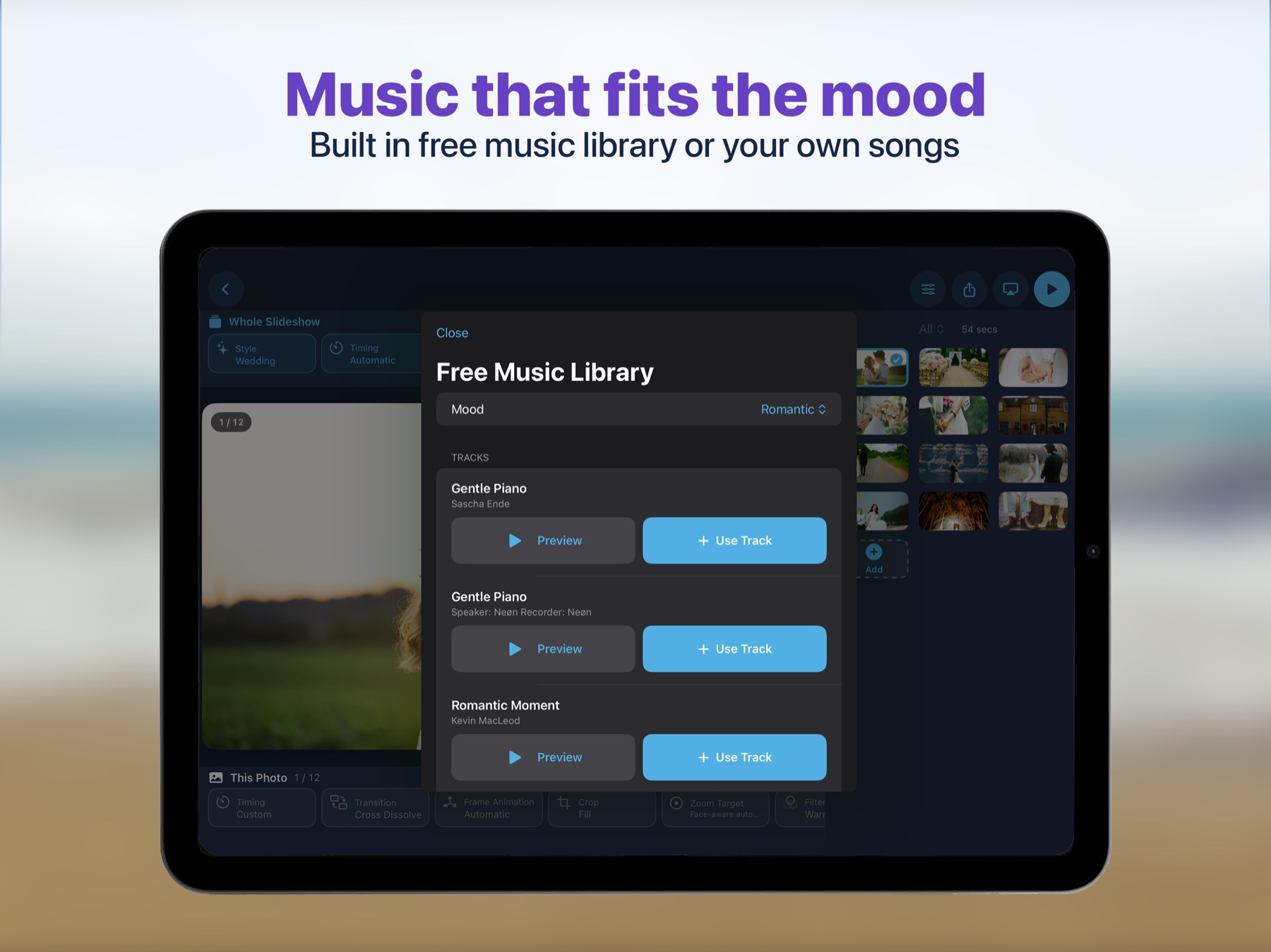 The optional free music library in Slideshow Ready, organized by mood.