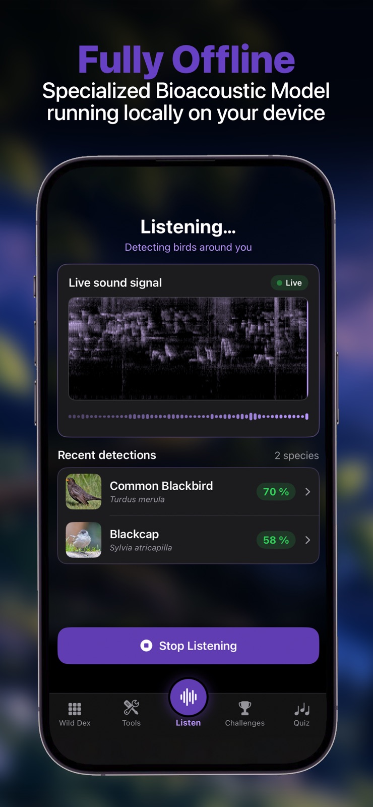 Wild Noise 1.30 listening locally, with a live spectrogram and recent blackbird and blackcap detections.